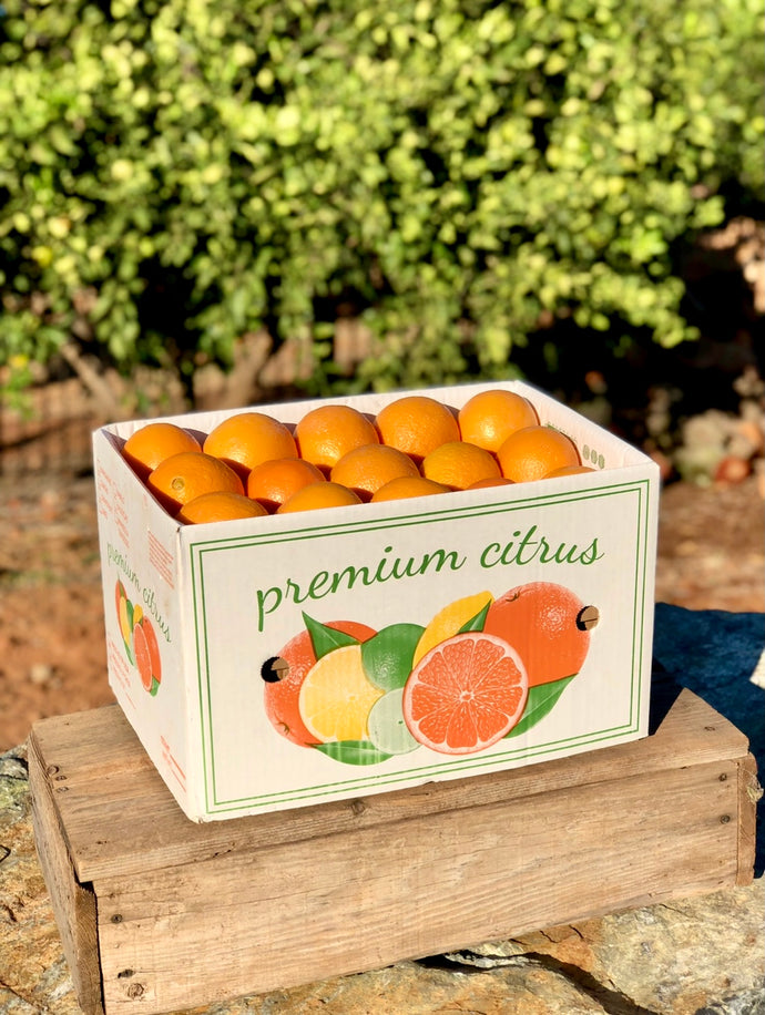 Medium Citrus Box